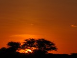 Namibia Hochzeit, Reise, Bilder, Fotos - img_6965.jpg